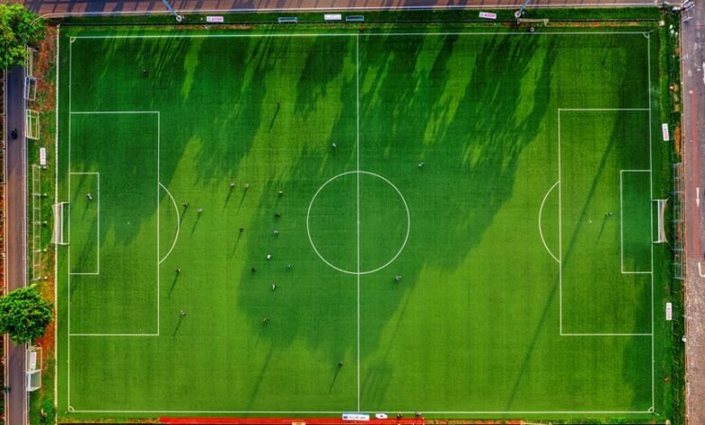 telecom activity phone numbers